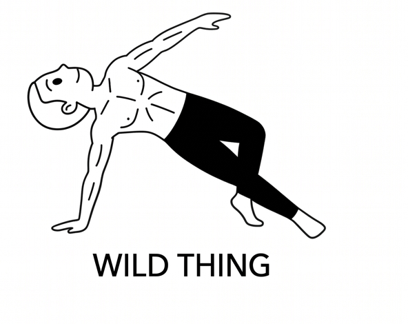 Visual sketch of Wild Thing (Camatkarasana)